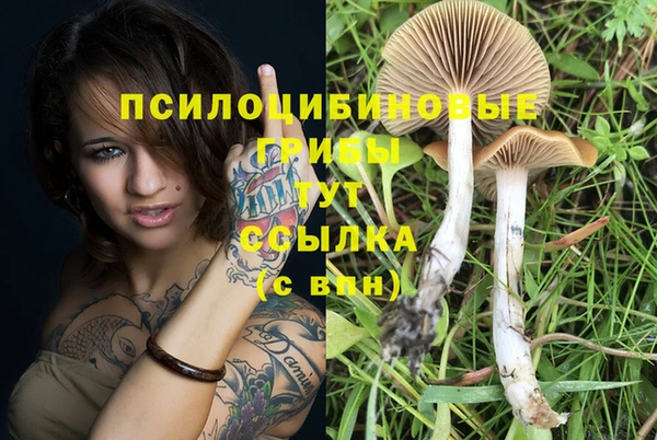 экстази Надым